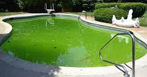 افضل شركة تنظيف مسابح بعنيزة