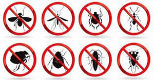 افضل شركة رش مبيدات بعيون الجواء