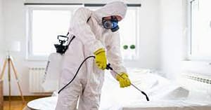 ارخص شركة مكافحة حشرات بعنيزة