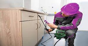 اسعار شركة مكافحة حشرات برياض الخبراء