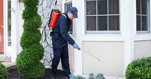 افضل شركة مكافحة حشرات برياض الخبراء